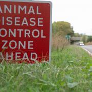 Signs near Eccles in Norfolk, as all of Norfolk and Suffolk and parts of Essex became the latest areas to be placed in an Avian Influenza Prevention Zone (Joe Giddens/PA)