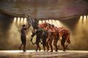 WAR HORSE at the Birmingham Hippodrome - Theatre Review