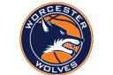 Worcester Wolves are a real success story
