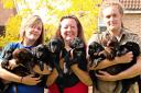 IT'S A DOG'S LIFE: Faye Allchurch, Jules Evans and Luke Evans with the eight puppies.             