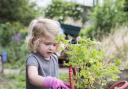 Make gardening child's play