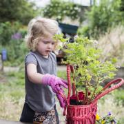 Make gardening child's play