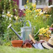 Spruce up your garden for sale