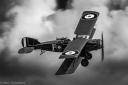 Bristol F.2B by Mark Sutherland