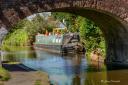 Canal near Tardebigge by Gerry Cartwright