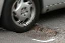 The rate of pothole repairs on local roads in England and Wales has reached an eight-year high, according to a new report (Yui Mok/PA)