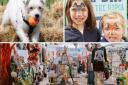 Animal lovers and four-legged friends can join the celebrations on June 15