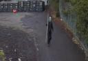 CREEPY: The alleged burglar in a mask holding a ladder as Berry Hill Industrial Estate was broken into