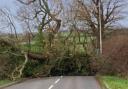 Roads closed because of flooding and fallen trees - live updates