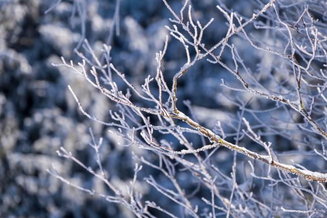 A cold weather alert has been issued for central England. Image: Pixabay.