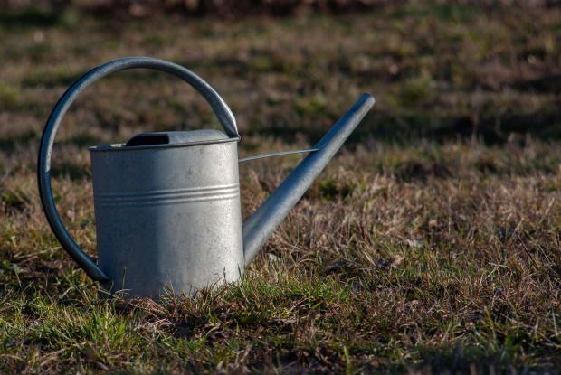 Bromsgrove Advertiser: Watering can sitting on the grass. Credit: PA