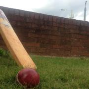 Stock cricket by NQ staff