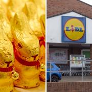 Lidl chocolate bunnies to be MELTED as court deems treat Lindt copycat (PA)