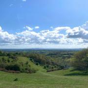 Waseley Hills Country Park.