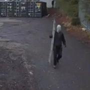 CREEPY: The alleged burglar in a mask holding a ladder as Berry Hill Industrial Estate was broken into