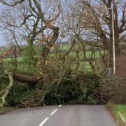 Roads closed because of flooding and fallen trees - live updates