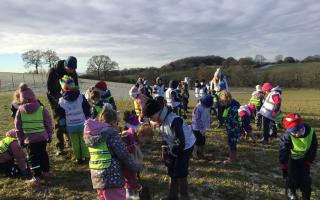 A team of children from Fairfield First School  planted 100 trees.